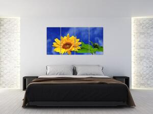 Obraz slnečnica (Obraz 160x80cm)