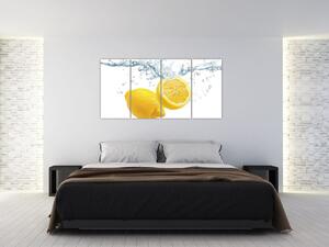 Citron- Obraz (Obraz 160x80cm)