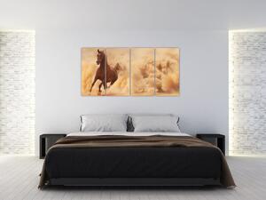 Cválajúci kôň - obraz (Obraz 160x80cm)