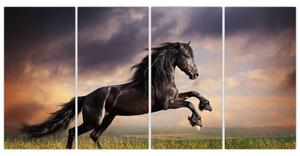 Kôň - obraz (Obraz 160x80cm)