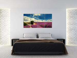 Levanduľové polia - obraz (Obraz 160x80cm)