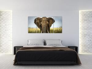 Slon - obraz (Obraz 160x80cm)
