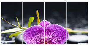 Kvet orchidey - obraz (Obraz 160x80cm)