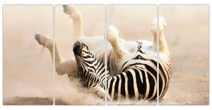 Obraz zebry (Obraz 160x80cm)