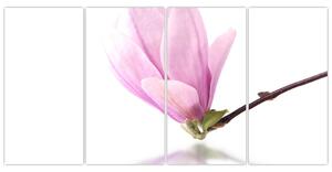 Kvet - obraz (Obraz 160x80cm)