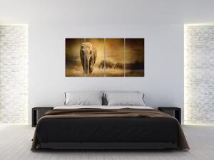 Obraz slona (Obraz 160x80cm)
