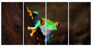 Žaba - obraz (Obraz 160x80cm)