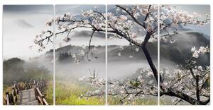 Sakura - obraz (Obraz 160x80cm)