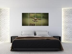 Orel - obraz (Obraz 160x80cm)