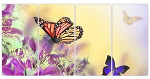 Motýle - obraz (Obraz 160x80cm)