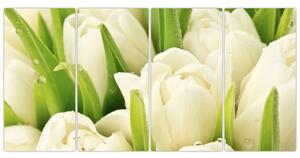 Detail tulipánov - obraz (Obraz 160x80cm)
