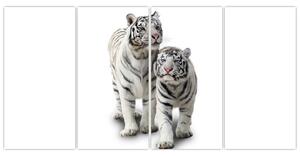 Tiger biely - obraz (Obraz 160x80cm)