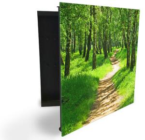 Glasdekor skrinka na kľúče - chodník a jarný brezový les - Ľavé / Čierna