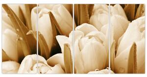 Obraz tulipánov (Obraz 160x80cm)