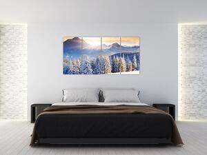 Fotka zimnej krajiny - obraz (Obraz 160x80cm)