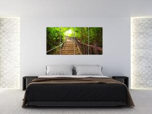 Schody v lese - obraz (Obraz 160x80cm)