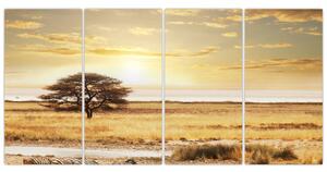 Letná krajina - obraz (Obraz 160x80cm)