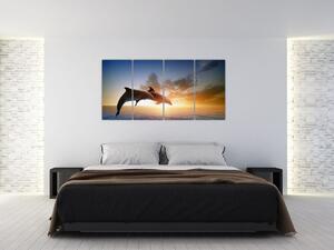 Delfíny - obraz (Obraz 160x80cm)