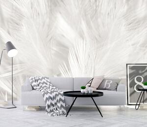Tapety Perie zblízka, Fototapety perie, u15622 : Uwalls.sk