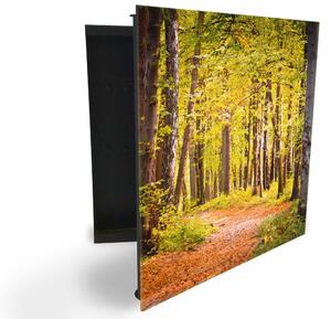 Glasdekor skrinka na kľúče - chodník v lese - Ľavé / Čierna