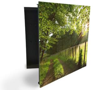 Glasdekor skrinka na kľúče - les so slnečnými lúčmi a cestou - Ľavé / Biela