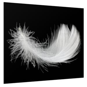 Sklo do kuchyne biele perie na čiernom podklade - 30 x 60 cm