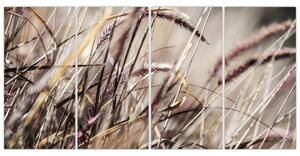 Obraz pšenica (Obraz 160x80cm)