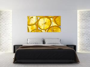 Plátky citrónov - obraz (Obraz 160x80cm)