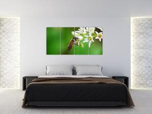 Fotka včely - obraz (Obraz 160x80cm)