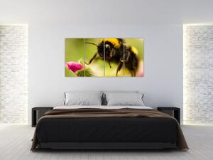 Včela - obraz (Obraz 160x80cm)