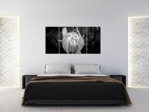 Obraz čiernobiele ruže (Obraz 160x80cm)