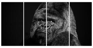 Obraz opice (Obraz 160x80cm)