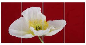 Obraz kvetu (Obraz 160x80cm)