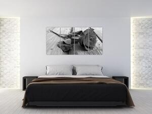 Obraz čiernobiele ruže (Obraz 160x80cm)