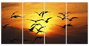 Obraz letiacich vtákov (Obraz 160x80cm)