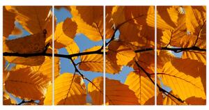 Jesenné lístie - obraz (Obraz 160x80cm)