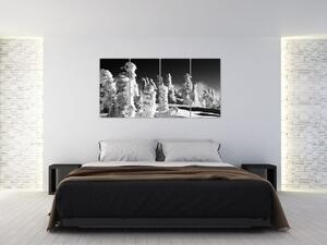 Obraz - zimné hory (Obraz 160x80cm)