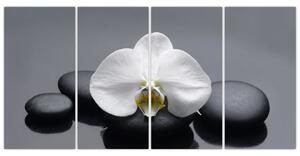 Kvet orchidey - moderný obraz (Obraz 160x80cm)