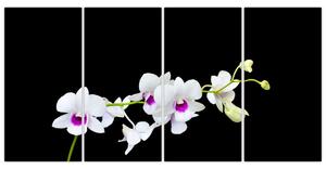 Kvetina - obraz (Obraz 160x80cm)