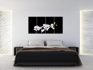 Kvetina - obraz (Obraz 160x80cm)