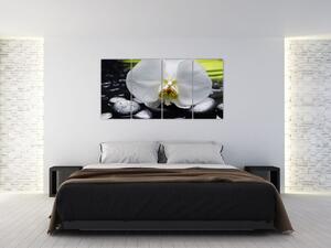 Kvet orchidey - obraz na stenu (Obraz 160x80cm)