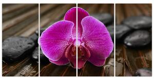 Obraz orchidey (Obraz 160x80cm)