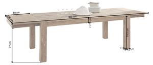 Massive home | Dřevěný rozkládací jídelní stůl 200/300x100 Monrovia z palisandru MH65260