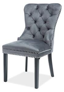 Jedálenská stolička OEGEST sivá/čierna