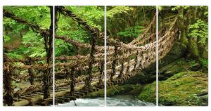 Obraz - most v prírode (Obraz 160x80cm)