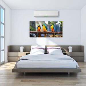 Obraz - papagáje (Obraz 160x80cm)