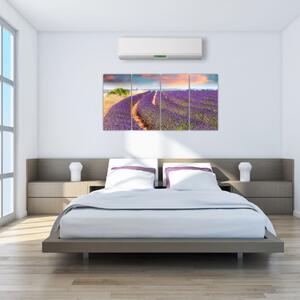 Levanduľové polia - obraz (Obraz 160x80cm)