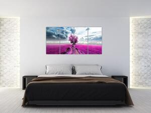 Levanduľové pole, obraz (Obraz 160x80cm)