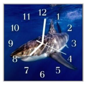 Nástenné hodiny žralok 30x30cm II - plexi
