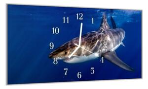 Nástenné hodiny žralok 30x60cm II - plexi